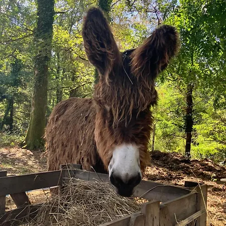 In De Groene Heuvels De Charente Voorzien 3 Slaapkamers En 2 Badkamers * Ecuras