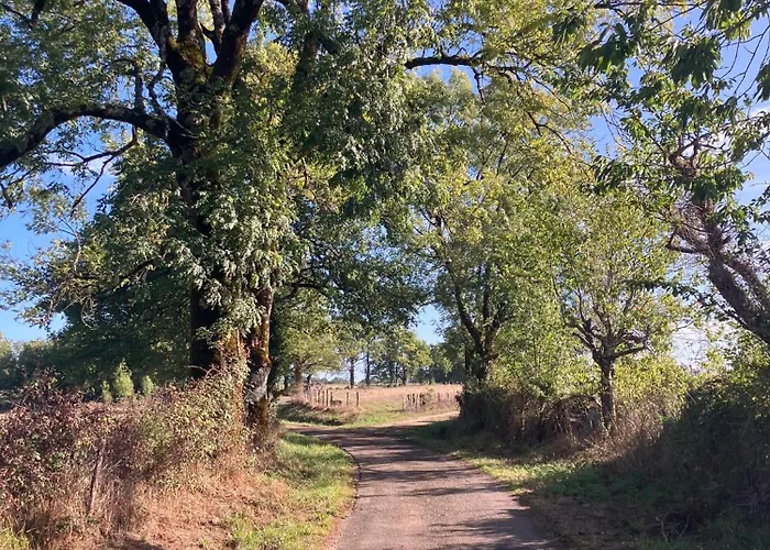 Ferienhaus In De Groene Heuvels De Charente Voorzien 3 Slaapkamers En 2 Badkamers *