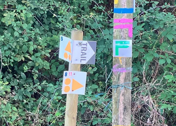 Ferienhaus In De Groene Heuvels De Charente Voorzien 3 Slaapkamers En 2 Badkamers